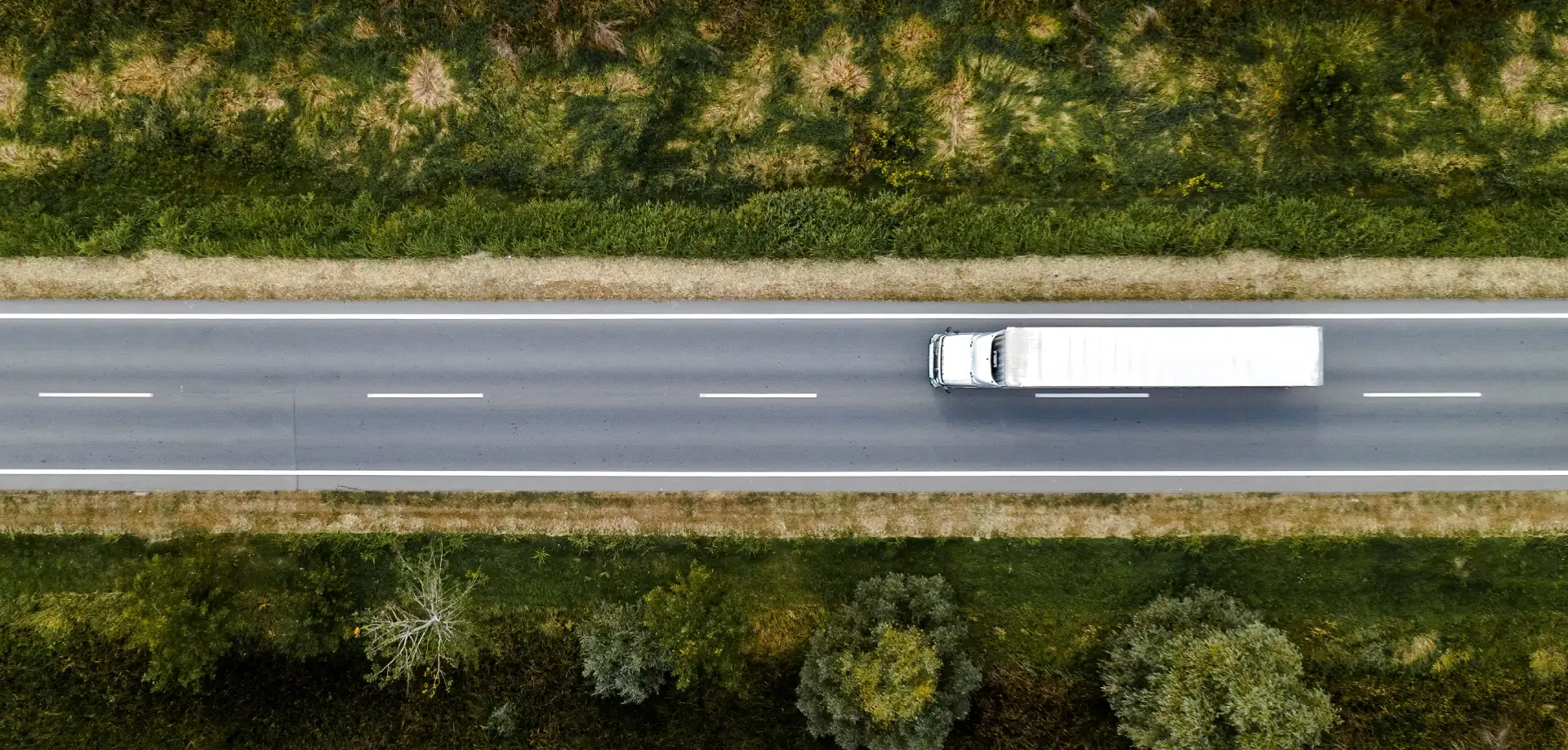 ESTRATEGIA ACCELERATE+